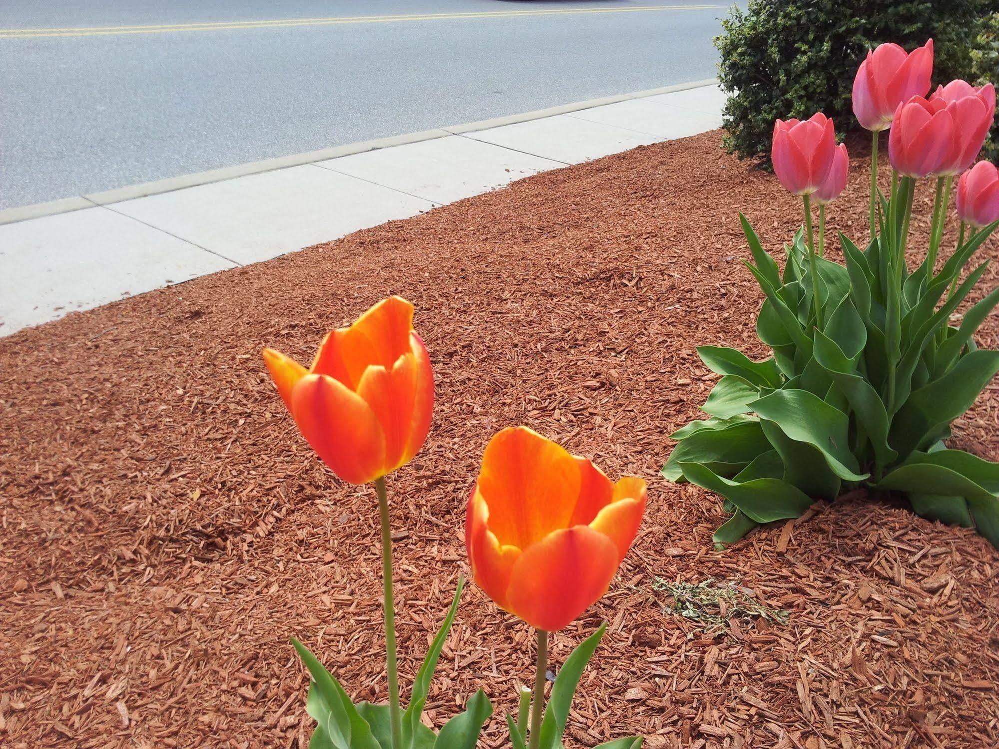 President Inn & Suites Gettysburg Bagian luar foto